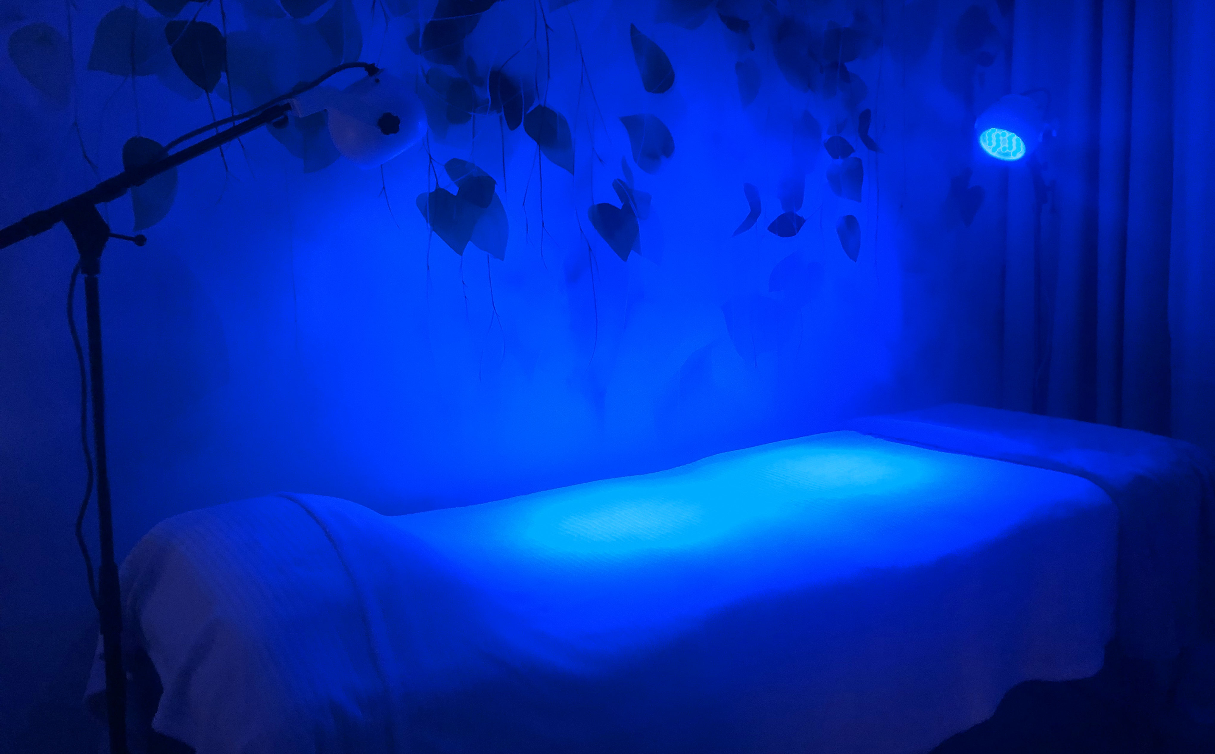 Lumière à spectre complet : couleur bleu